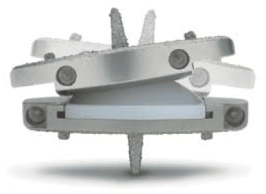 1767995575_rotation prodisc L rotation - design philosophy